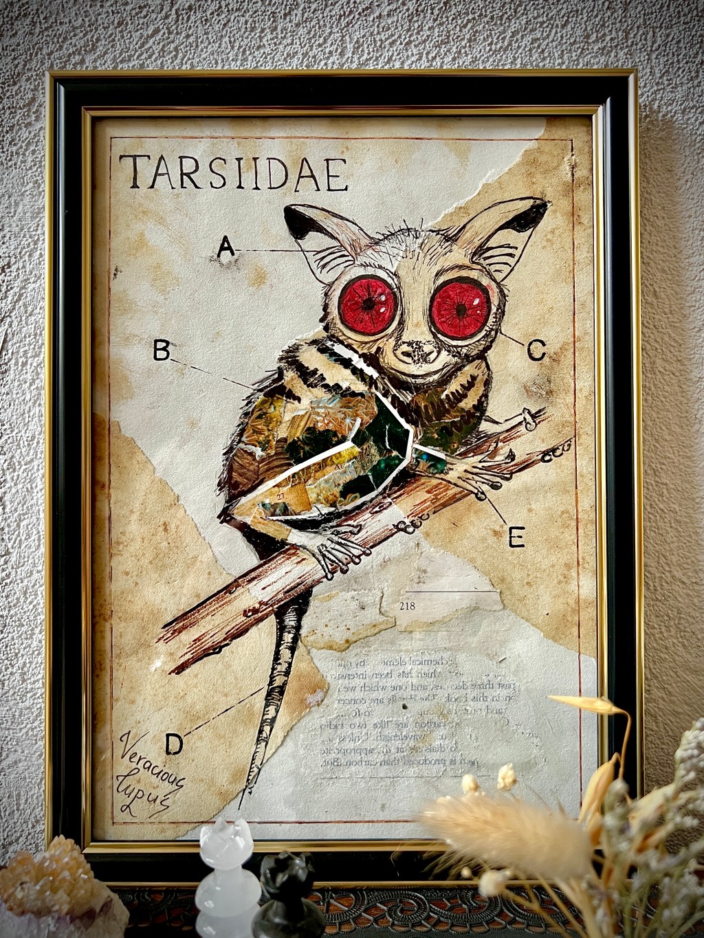 Tarsiidae